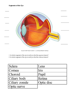 Anatomy Study Guide 1 - POGIL Orientation and Landmarks 1a. How does ...