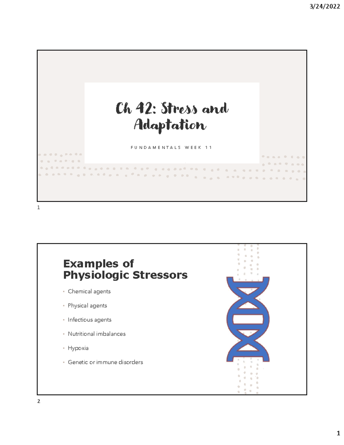 Ch 42 student-1 - notes - Ch 42: Stress and Adaptation F U N D A M E N ...