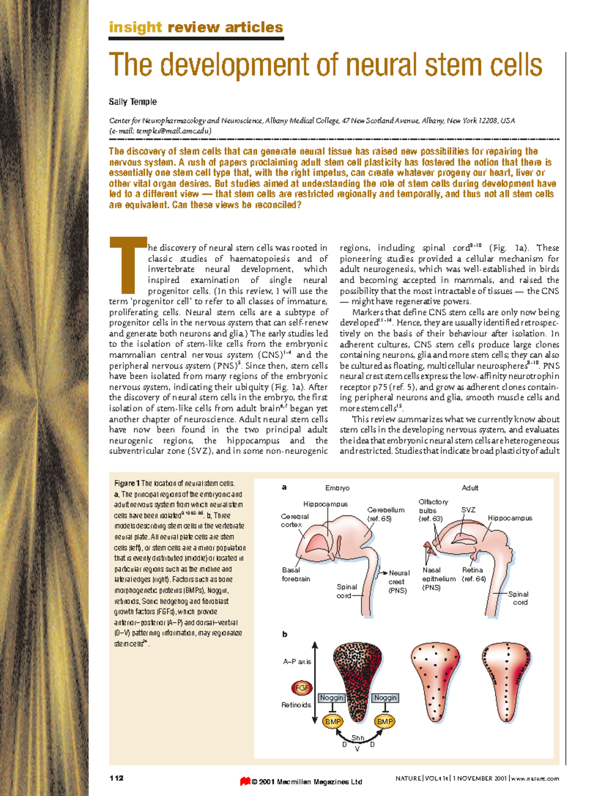 Neural stem cells Nature - 112 NATURE | VOL 414 | 1 NOVEMBER 2001 ...