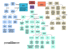 Examen-sumate-al-protocolo Compress - Examen Sumate Al Protocolo ...