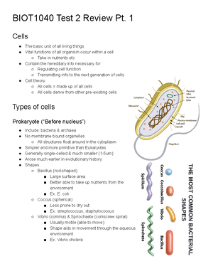 Unit 1 Principles of Molecular Biology & Gene Expression ...