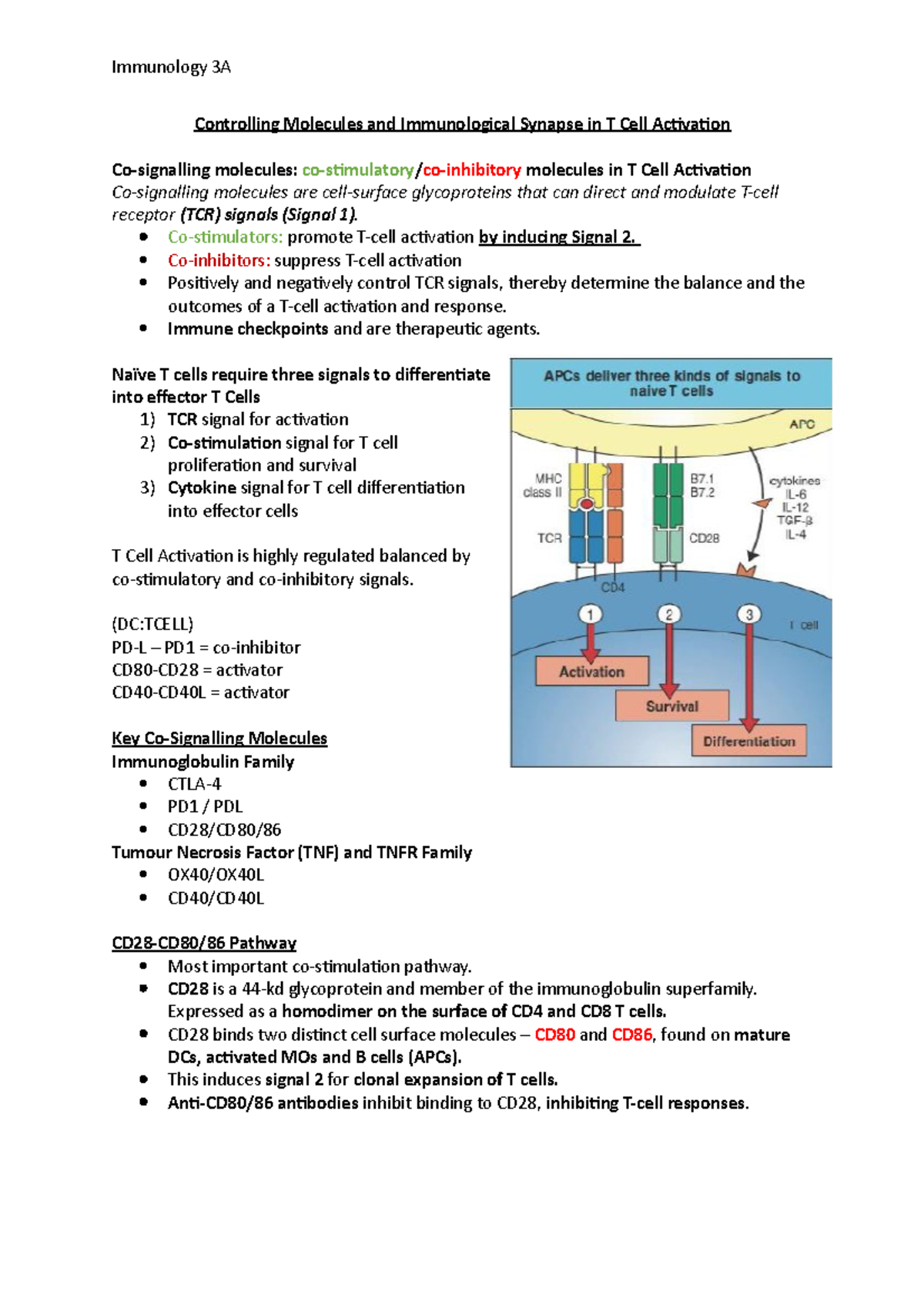 Immunology 3A Immunological Synapse - Controlling Molecules and ...