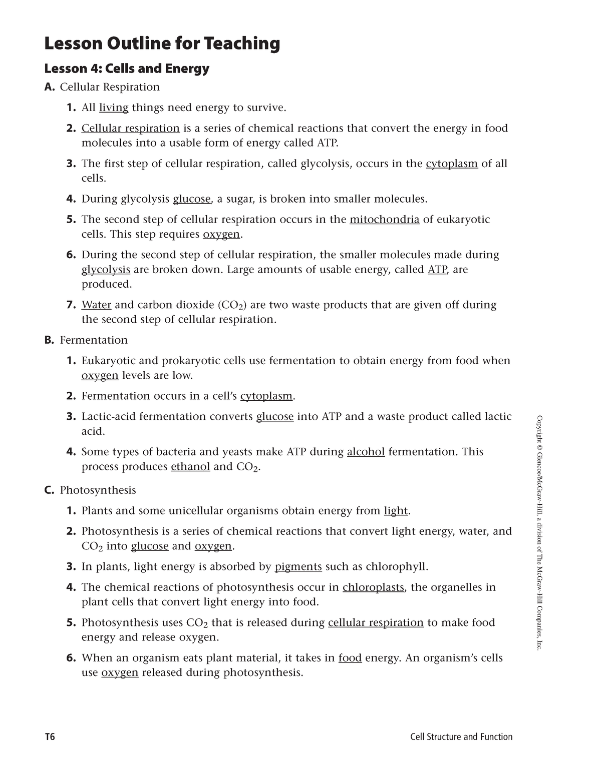 2-4 Outline Cells And Energy Answers - Copyright © Glencoe/McGraw-Hill ...