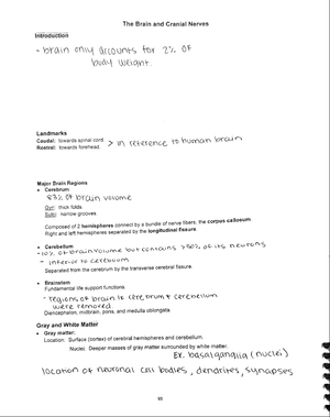 Ch. 1 Notes - Principles of Microeconomics Chapter 1. The Core ...