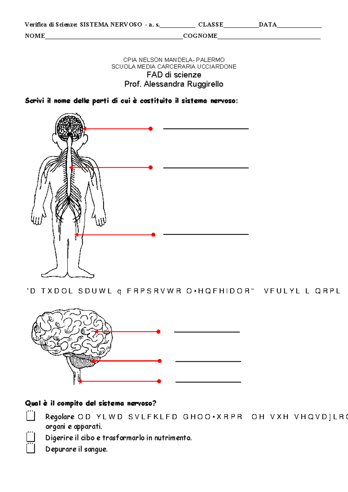 verifica di scienze prima media