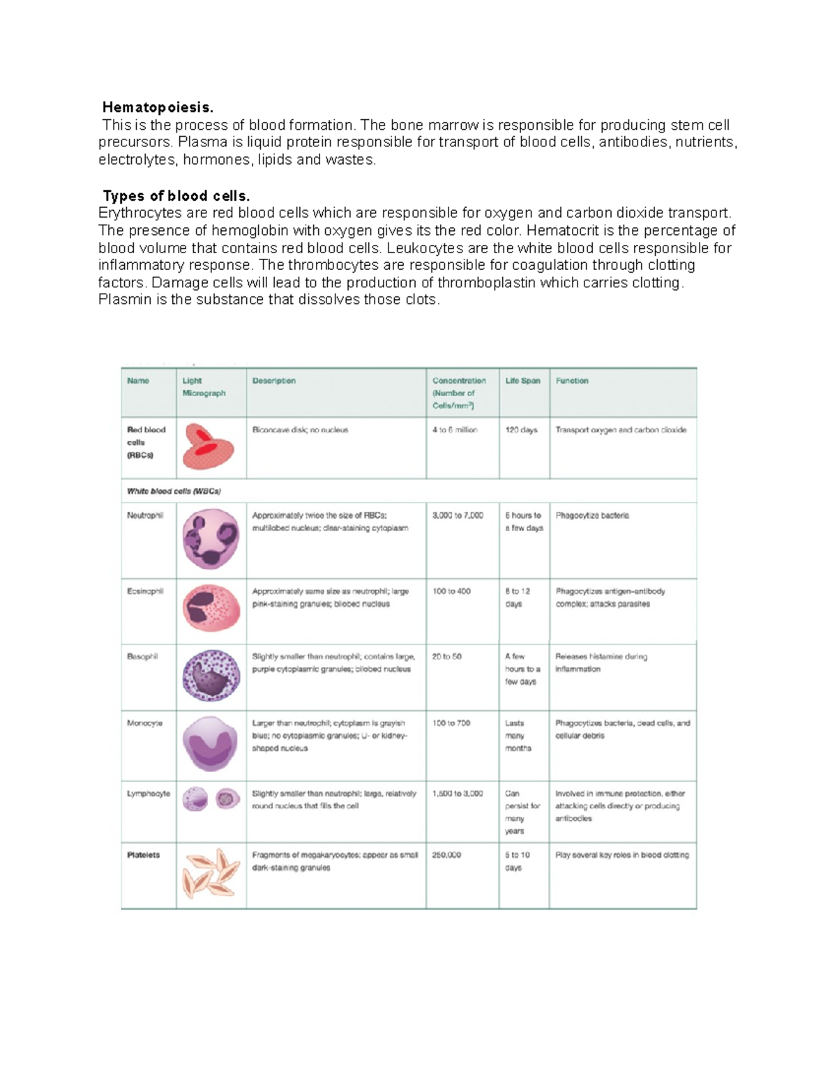 Heme - Heme - Hematopoiesis. This Is The Process Of Blood Formation 