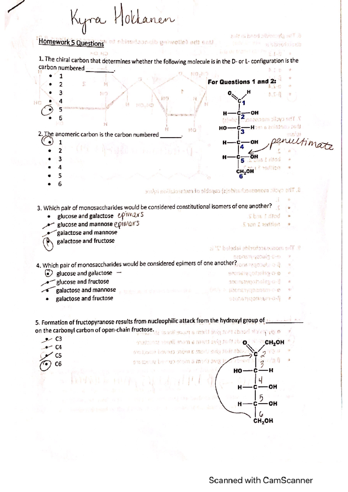 BCMB 401 Homework Assignment #5 - BCMB 401 - UT Knoxville - Studocu