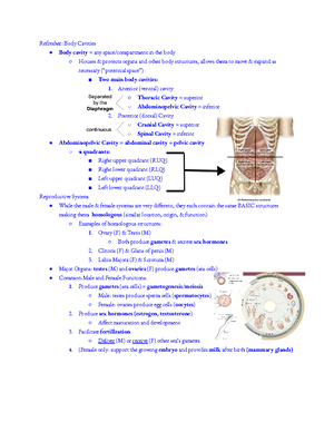 4. LAB 4. Appendicular Bones 2023 - LAB 4: APPENDICULAR SKELETON ...