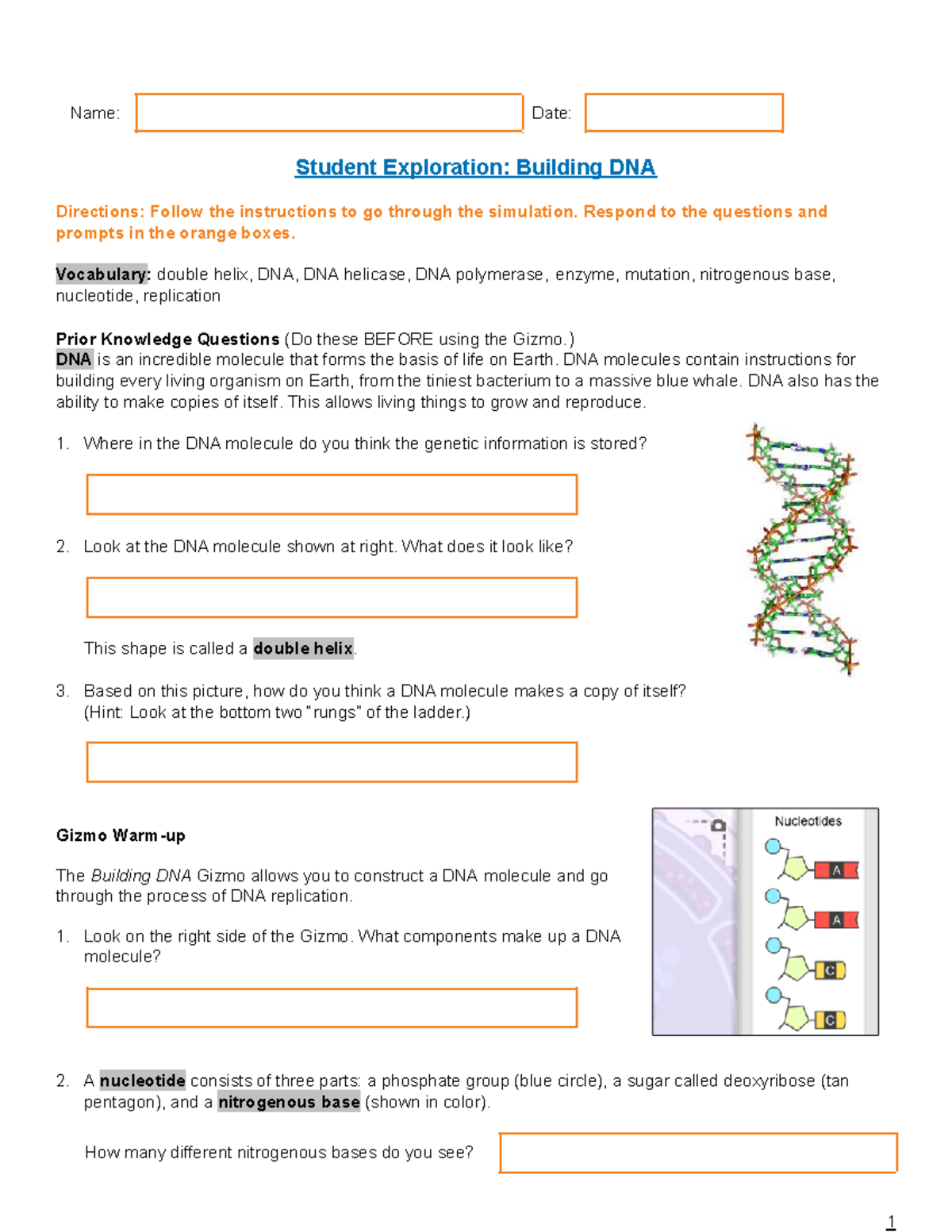 Building DNA Lab - Name: Date: Student Exploration: Building DNA ...