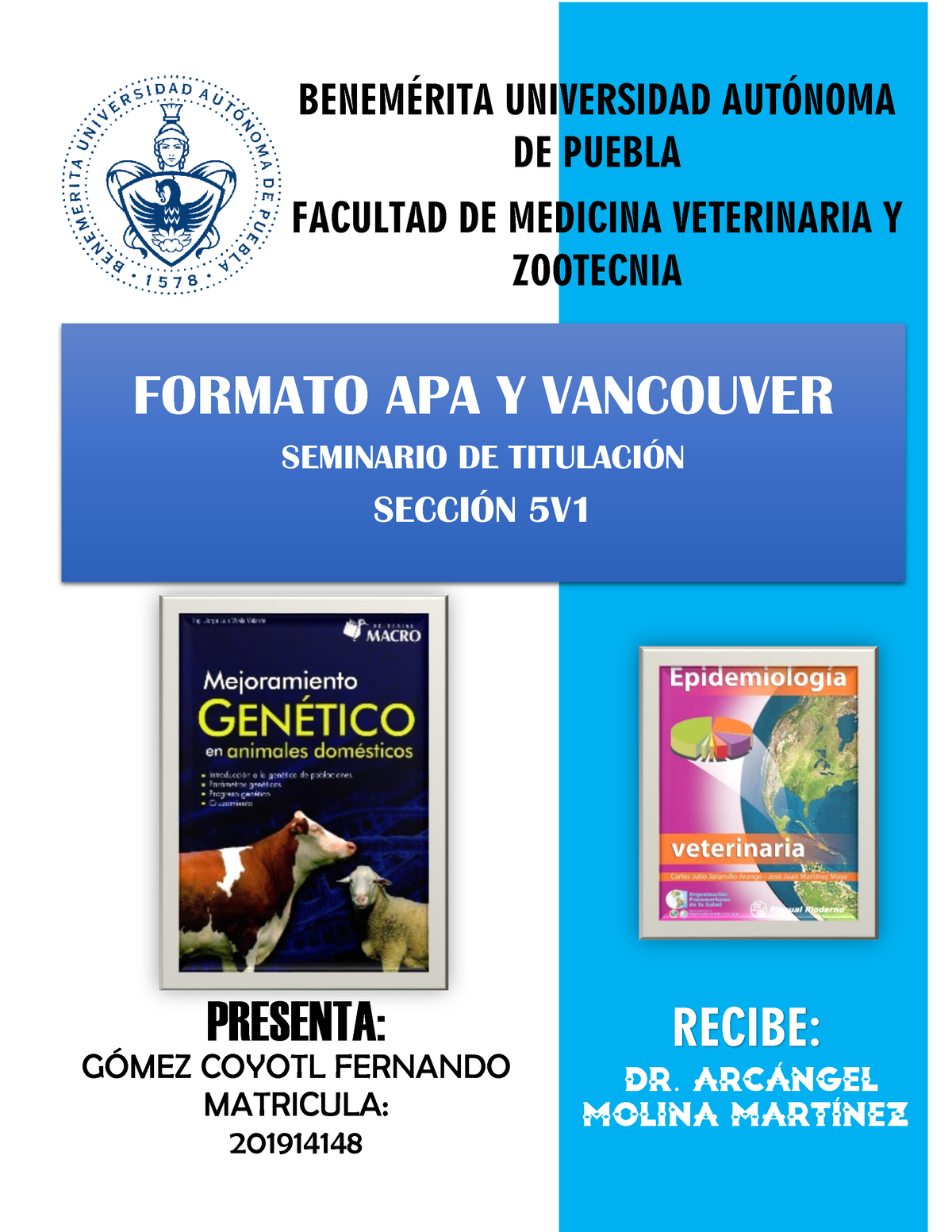 APA Y Vancouver - APA Y Vancuover - } FORMATO APA Y VANCOUVER SEMINARIO ...