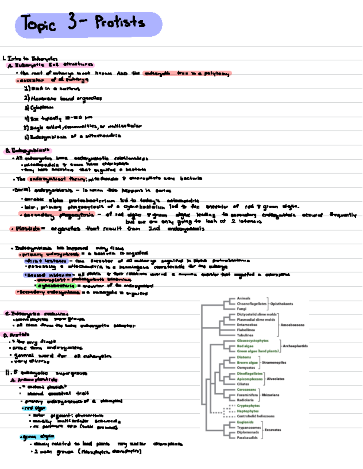 Topic 3 - Topic 3 - Protists 1. Intro to Eukaryotes A. Eukaryotic Cell ...