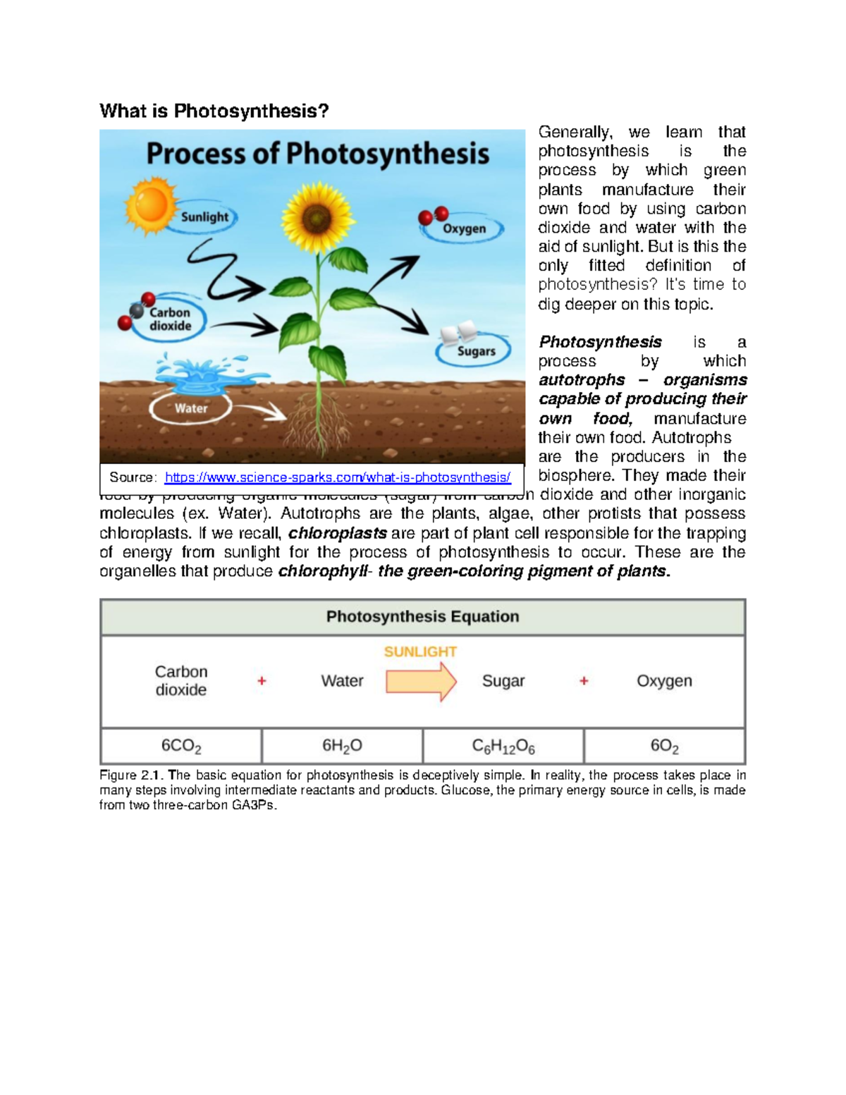 Photosynthesis - Kindly, read properly. - What is Photosynthesis ...