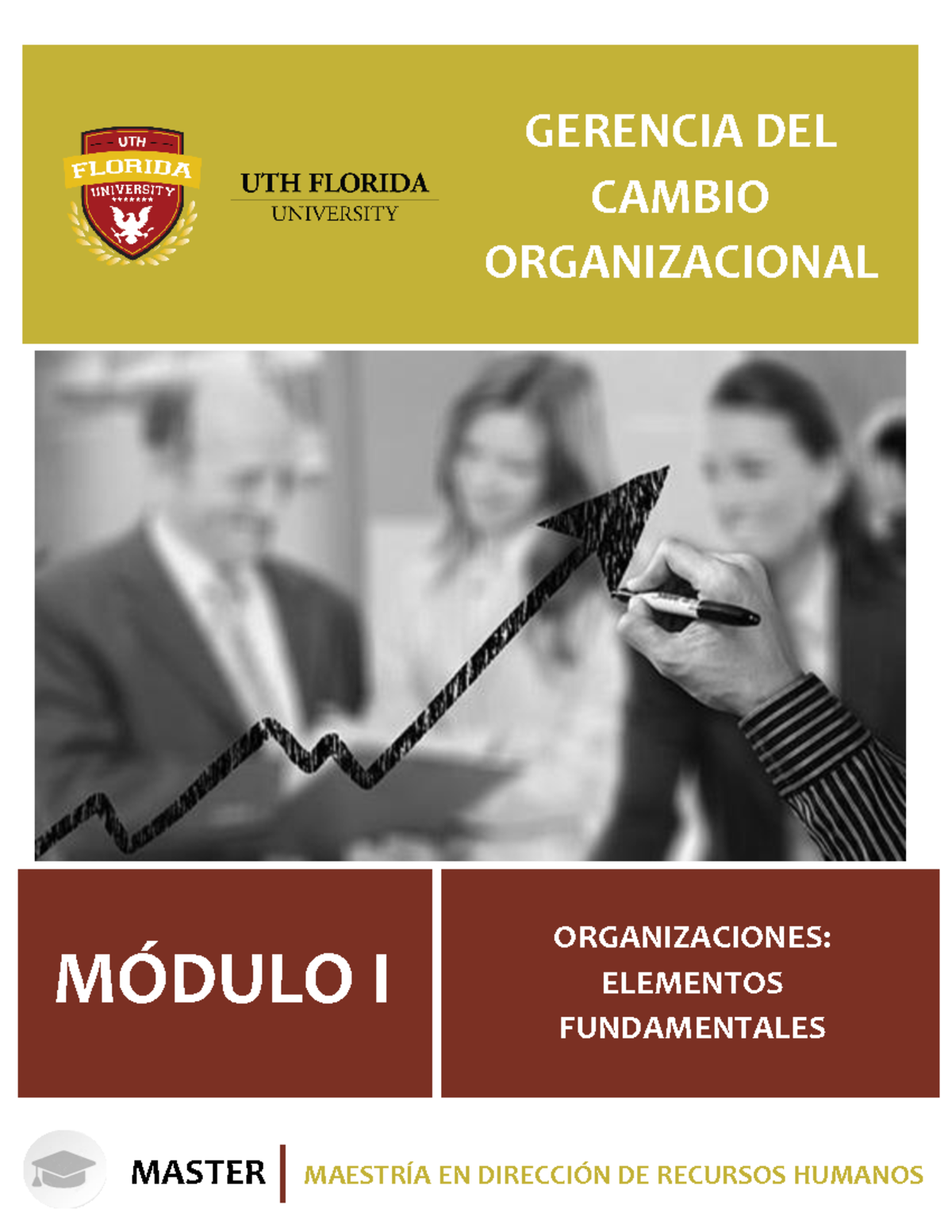 Módulo I Gerencia Del Cambio Organizacional Mûdulo I