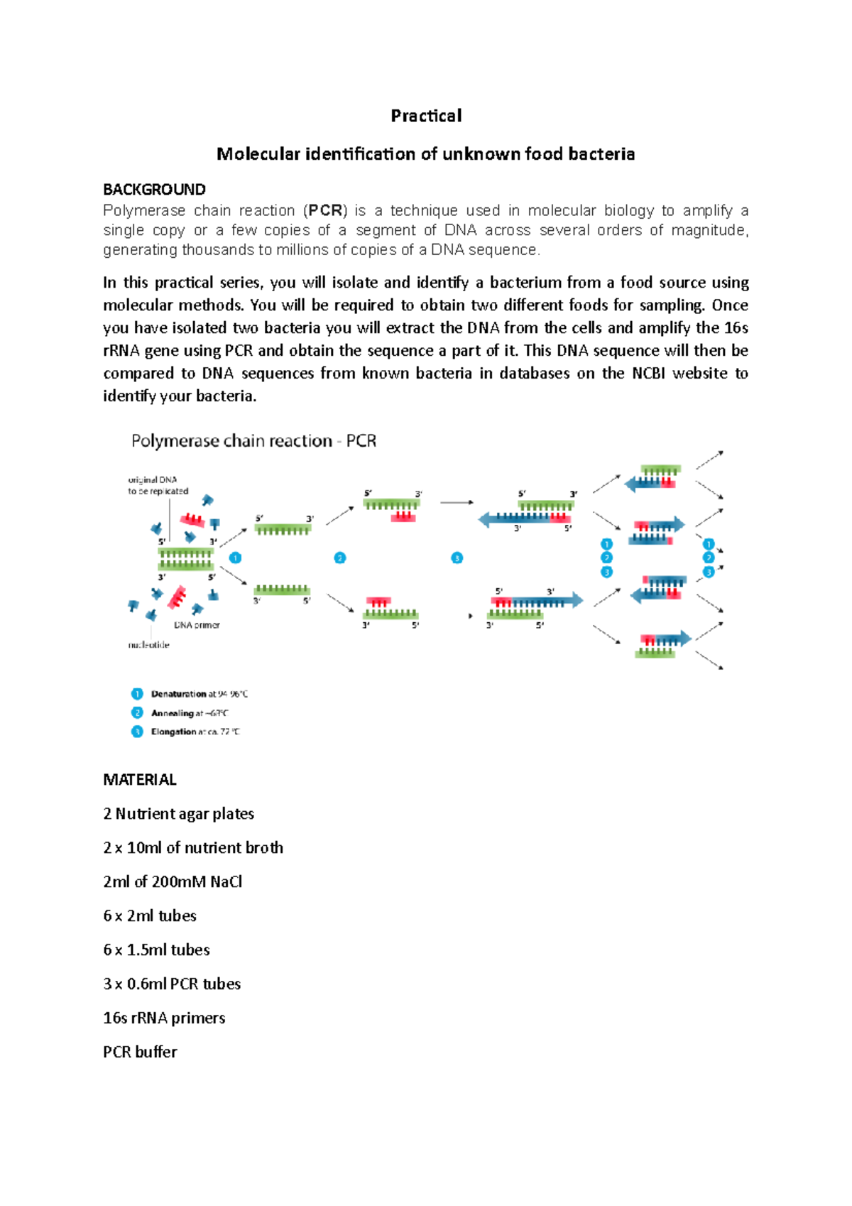 Practical - Practical Molecular identification of unknown food bacteria ...