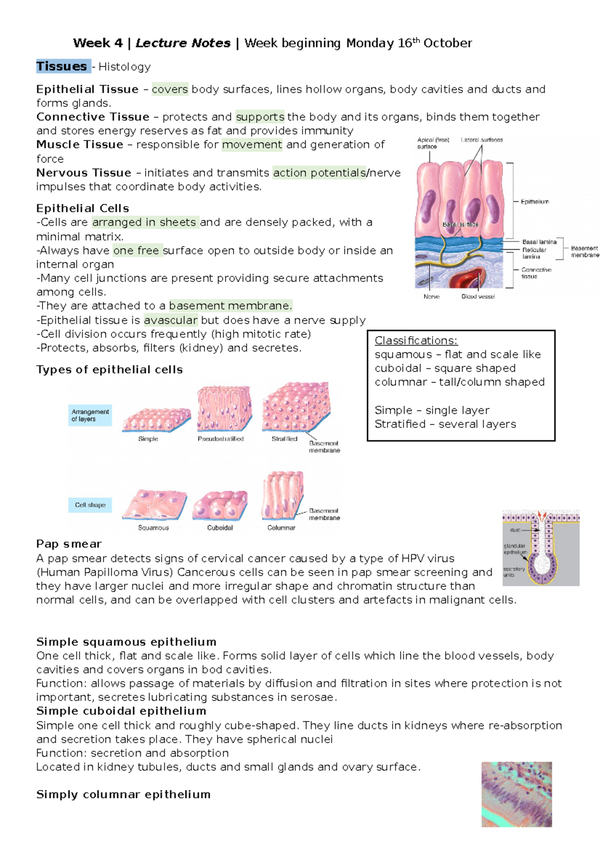 Tissues And Histology - Week 4 | Lecture Notes | Week Beginning Monday ...