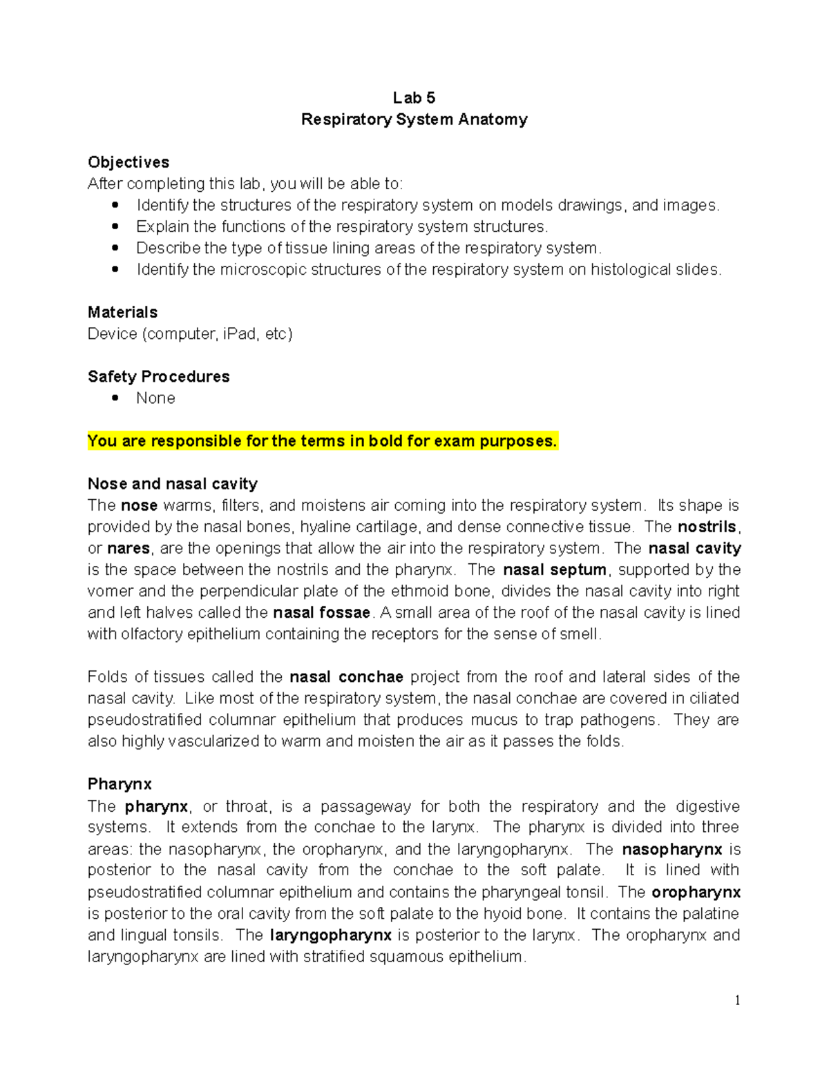 Lab5Respiratory Anatomy - Lab 5 Respiratory System Anatomy Objectives ...