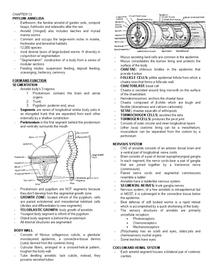 Platy Nema Lab Chart - Species Class Order Turbellaria Tricladida 