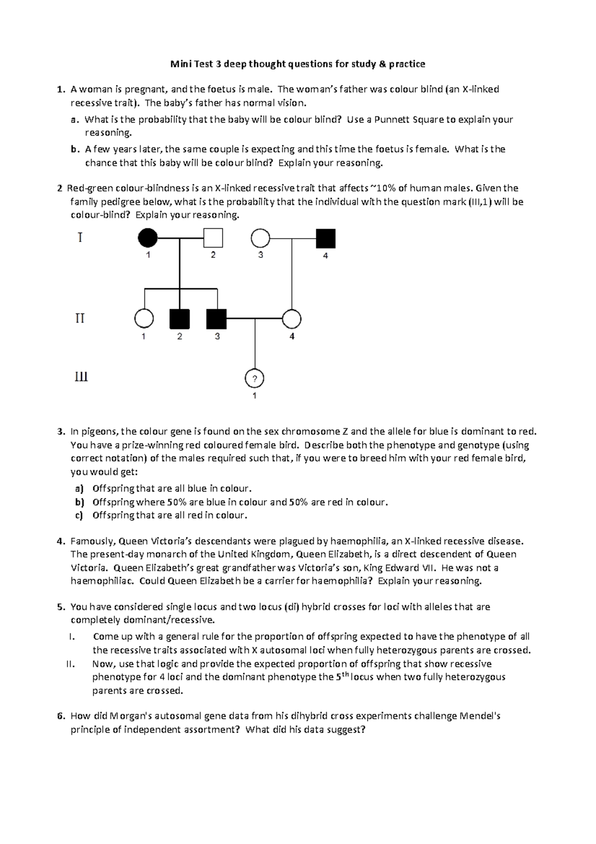 Mini Test 3 Deep Thought Questions - for study & preparation - Mini ...