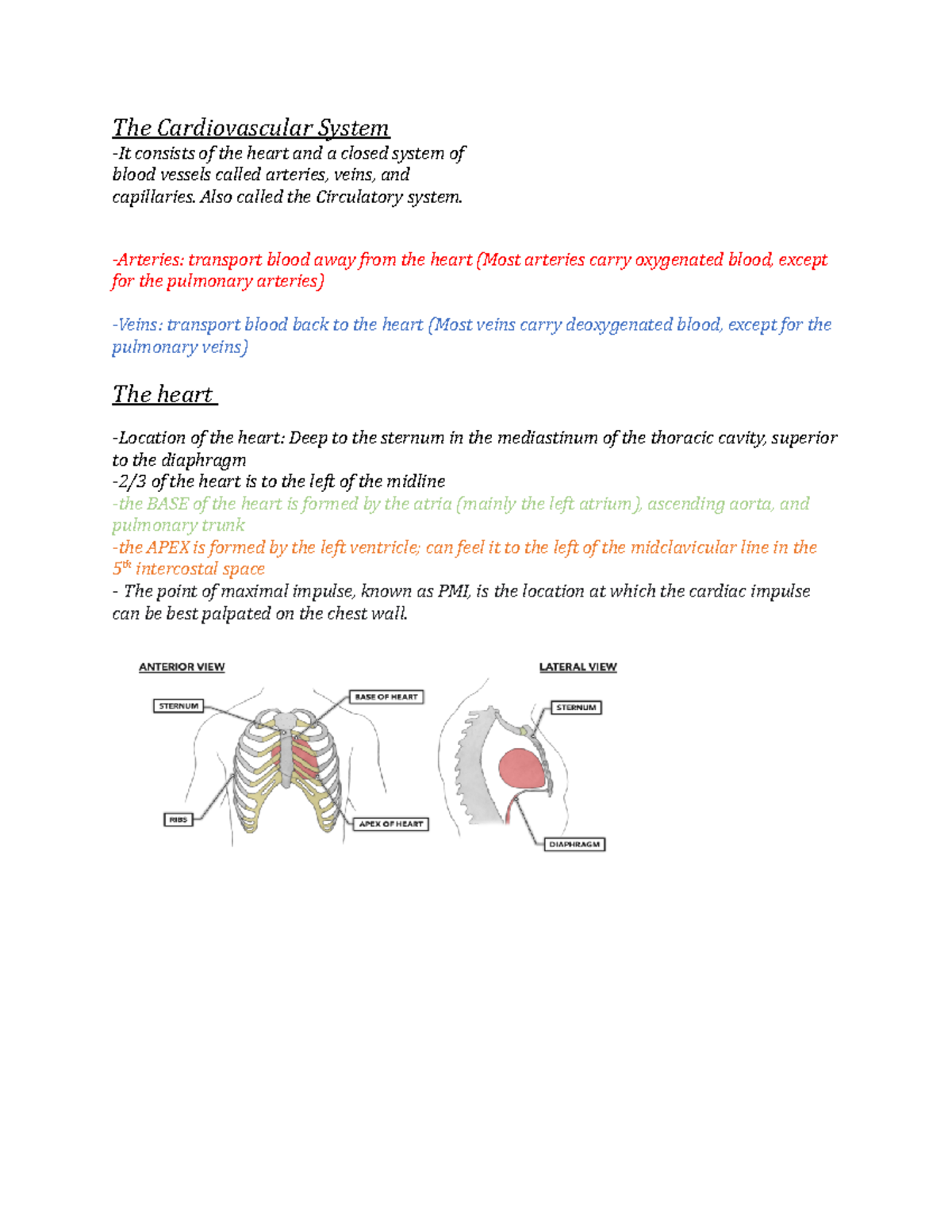 Anatomy test 4 notes - The Cardiovascular System -It consists of the ...