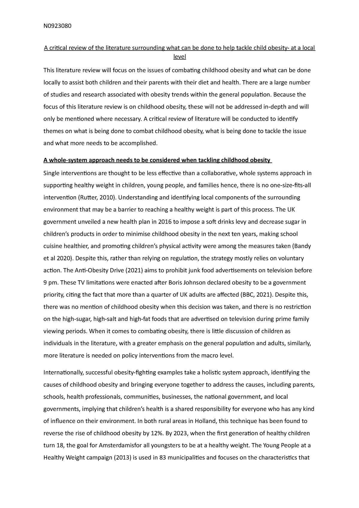 essay introduction about sustainability