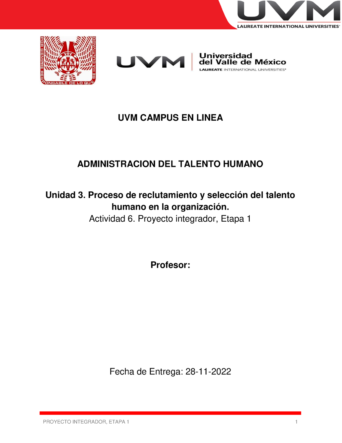 ACTIVIDAD 6 PROYECTO INTEGRADOR ETAPA 1 - UVM CAMPUS EN LINEA ...