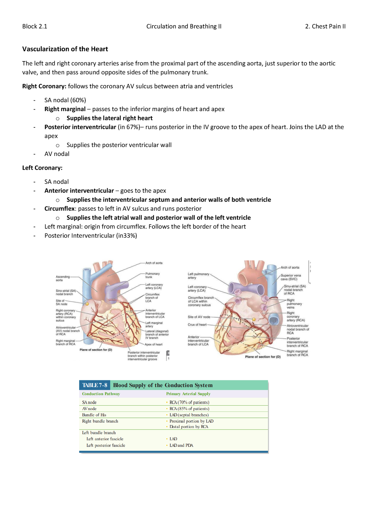 circulation and breathing - Vascularization of the Heart The left and ...