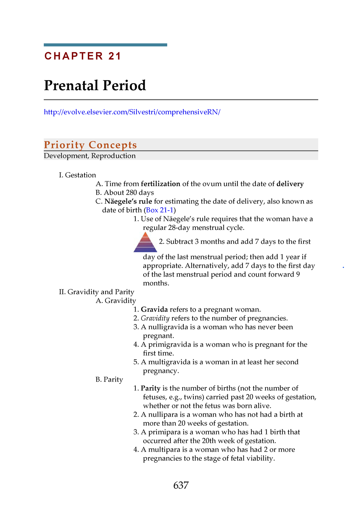 prenatal period essay