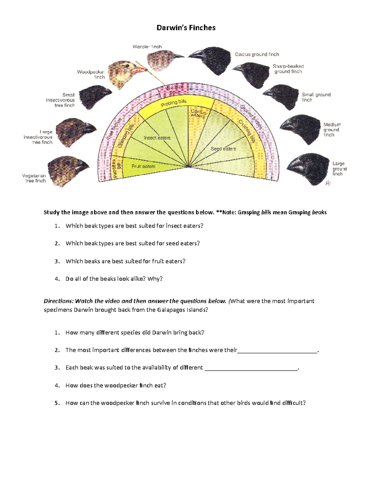 Darwins finches CW modified by everyone isn - Darwin’s Finches **Study ...