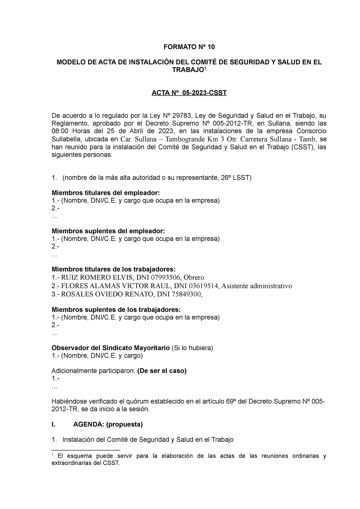 Acta Instalacion Comite Formato Nº 10 Modelo De Acta De InstalaciÓn