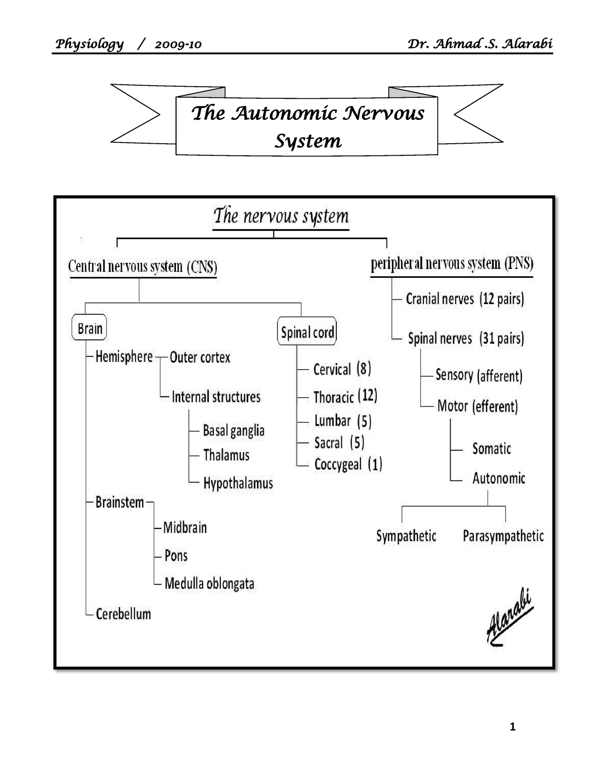 02-Autonomic - Autonomic - The Autonomic Nervous System Introduction To ...