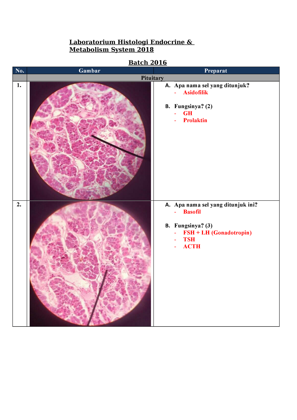 Histologi - Histology practice notes - Laboratorium Histologi Endocrine ...