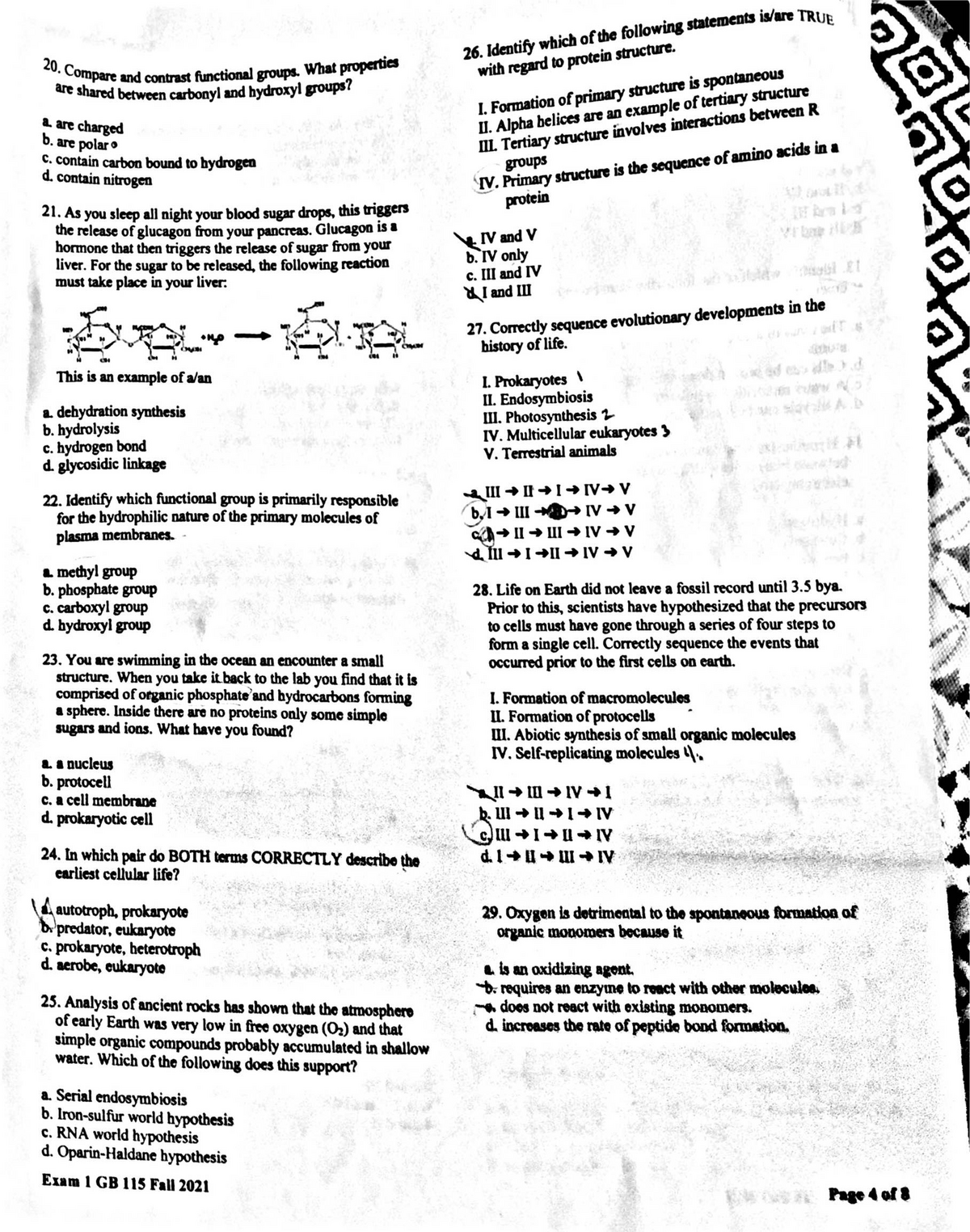 Exam I Page 3 Questions No Answers System Level Questions Rutgers Bio ...