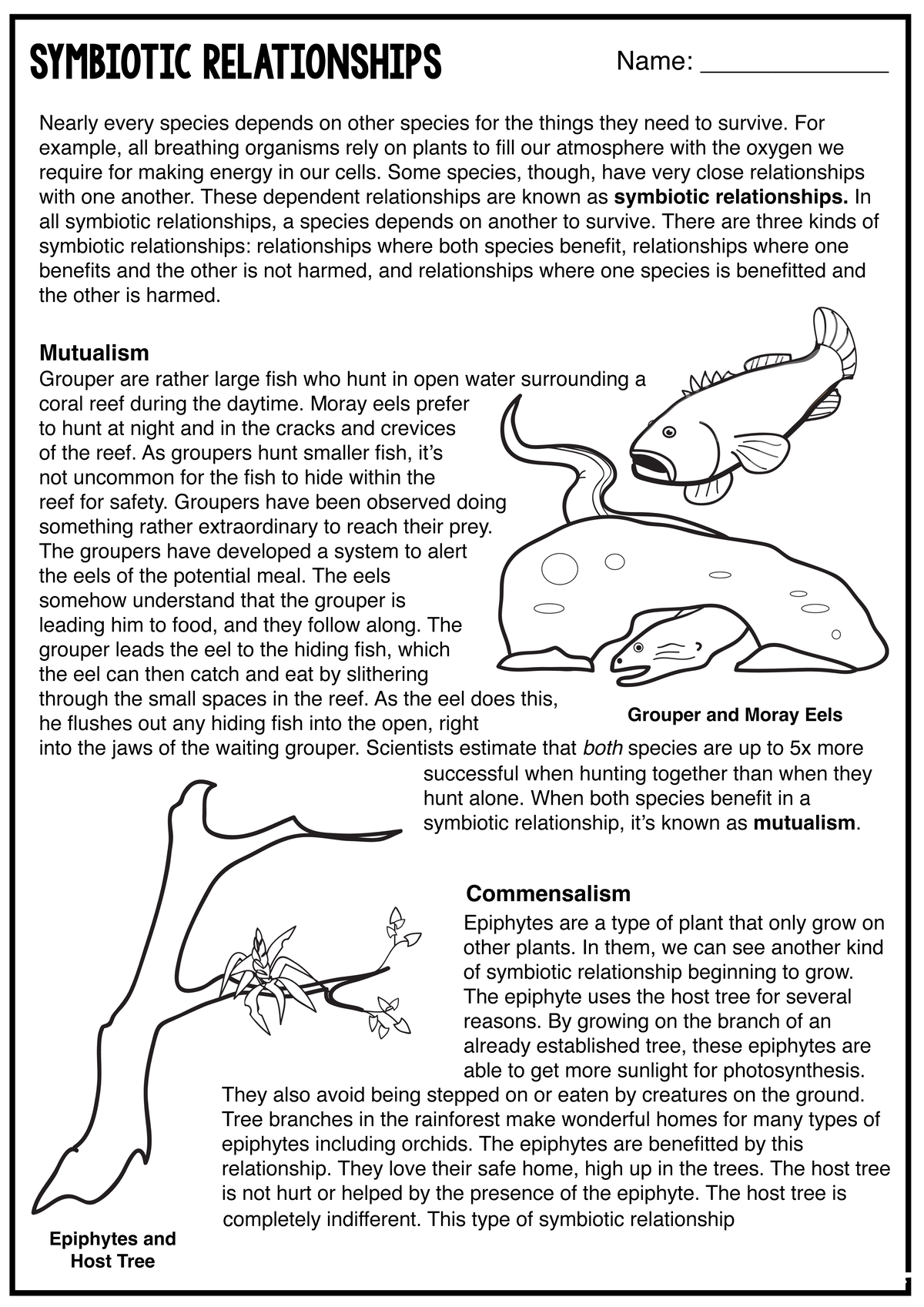 Symbiotic Relationships - Grouper are rather large fish who hunt in ...