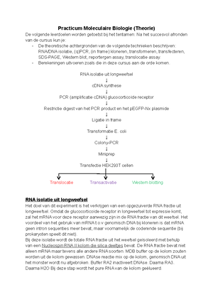 Oefentoets Toets 1 Theorie Mol Bio 3V-16 Met Antw - Oefentoets TLSC ...