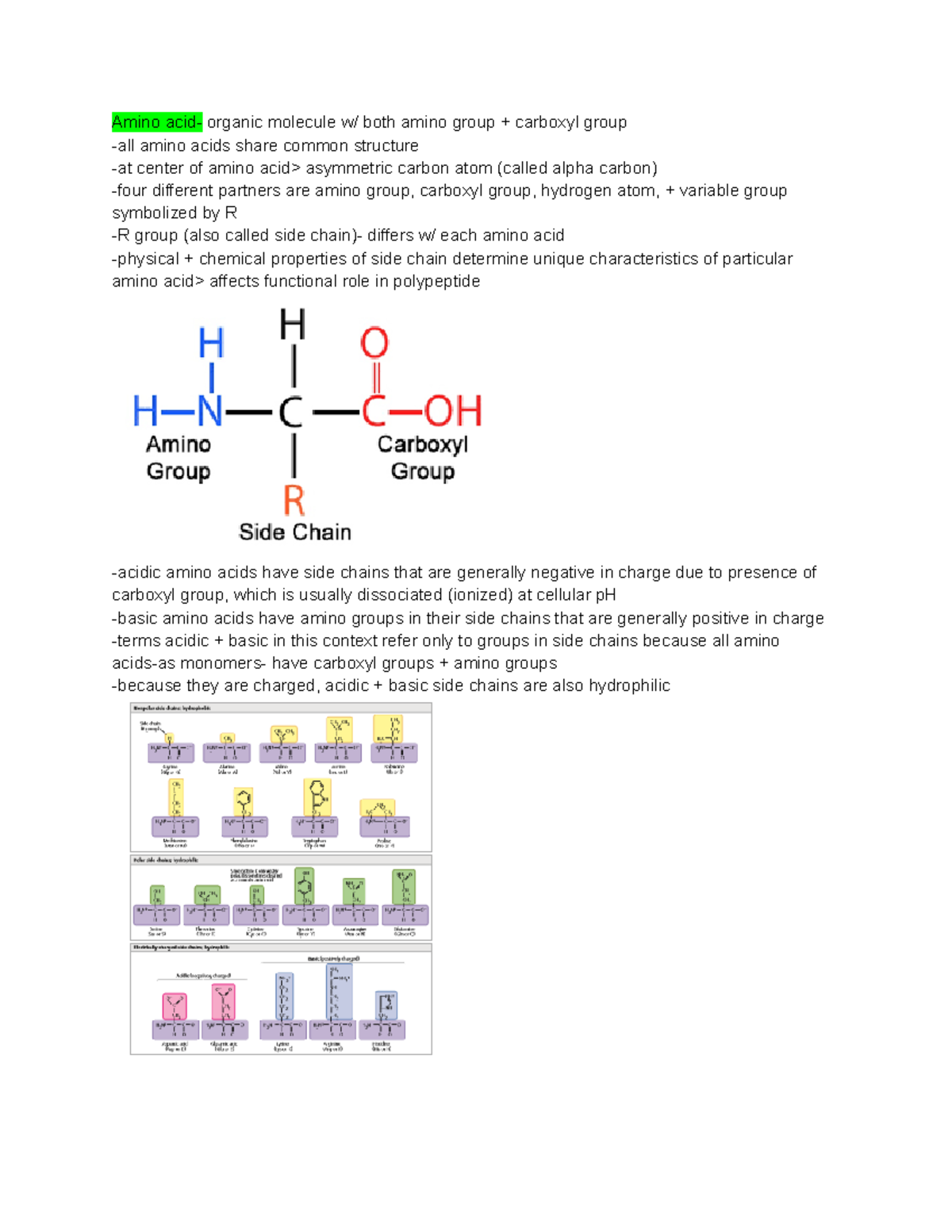 Amino acids (monomers) Amino acid organic molecule w/ both amino