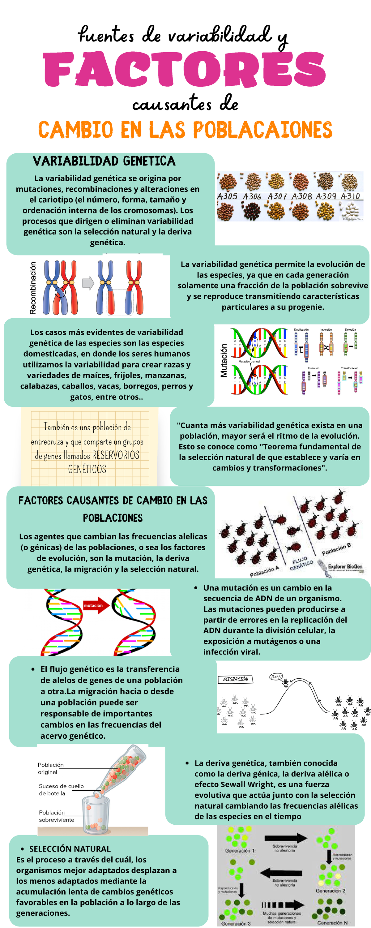 Biologia 2 - Materia De Biología, Pequeño Resumen Que Les Puede Servir ...