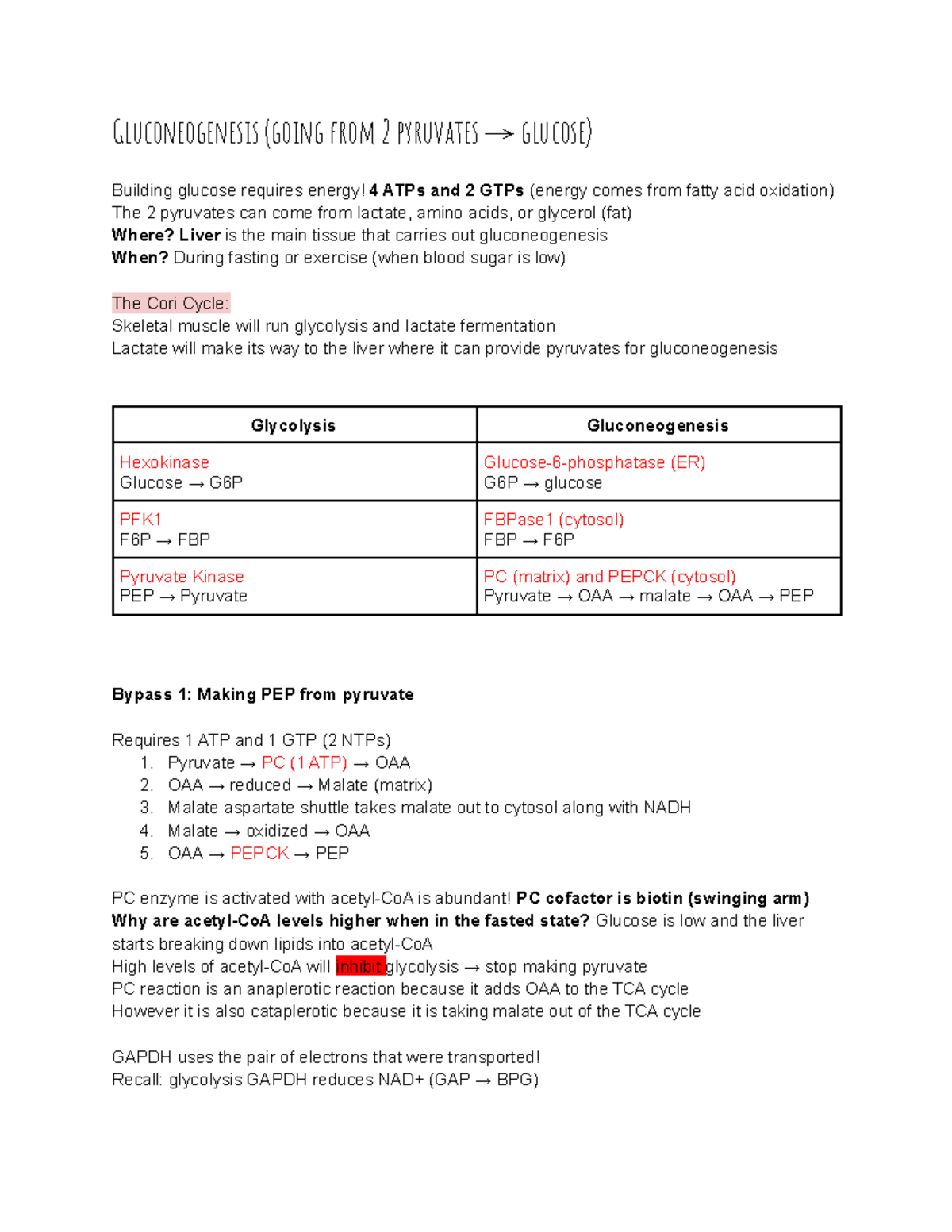 Gluconeogenesis and Regulation Typed Study Guide - Gluconeogenesis ...