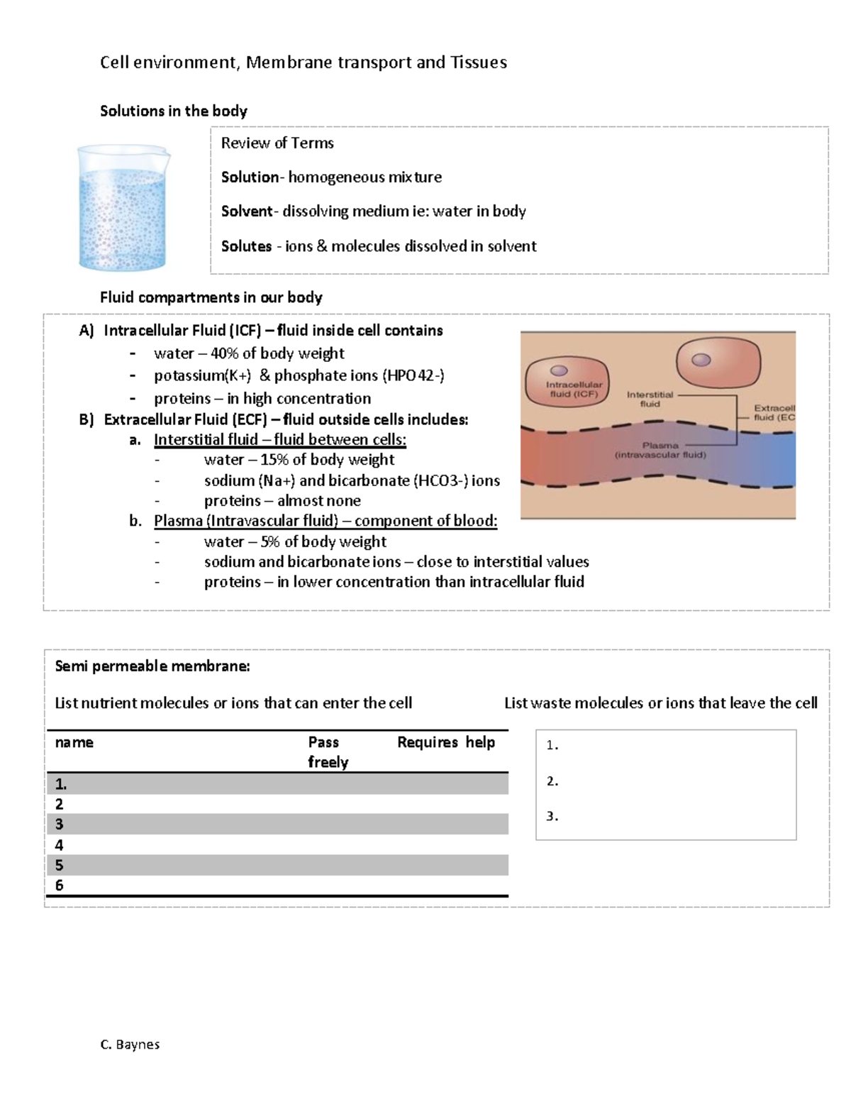 Anatomy lecture notes - Cell environment, Membrane transport and ...
