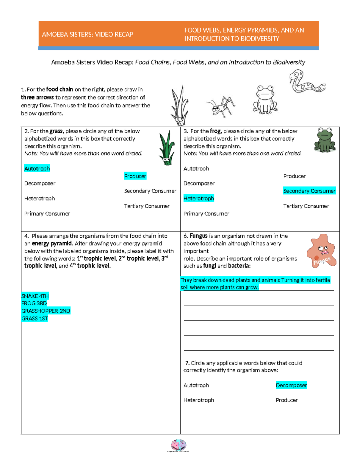 food-webs-worksheet-per-food-webs-energy-pyramids-and-an