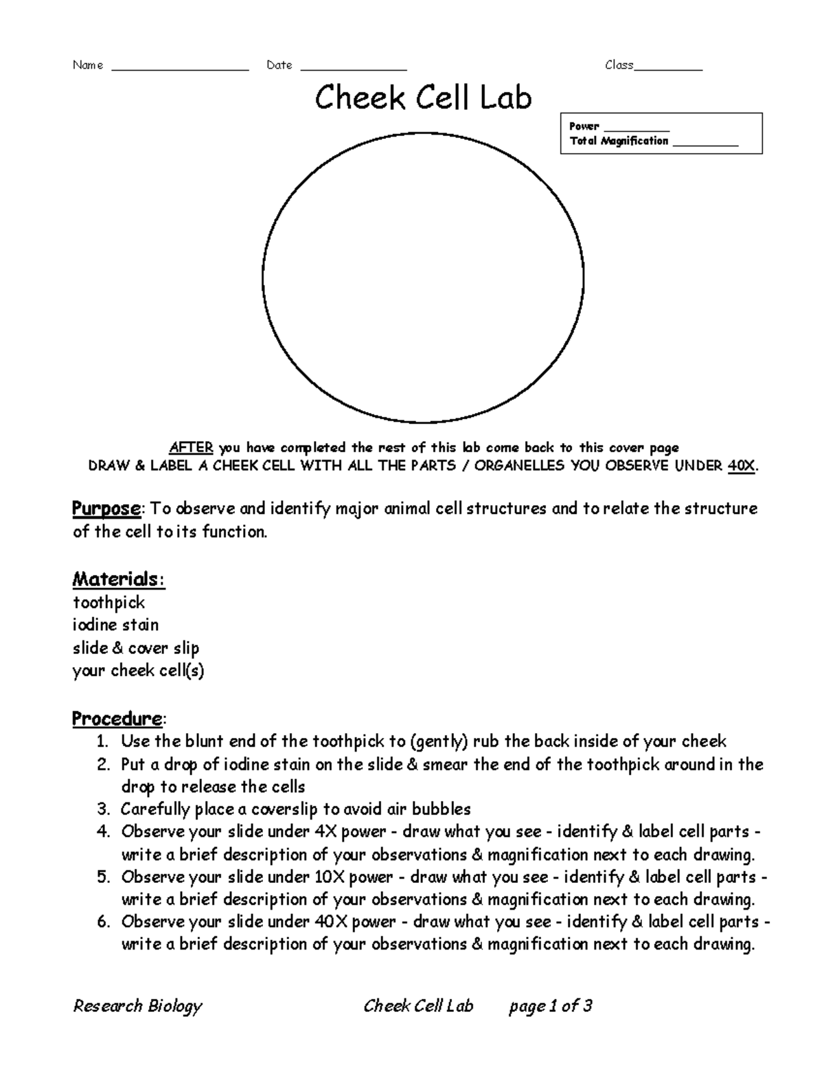 Cheek Cell - Summary Principles of Auditing - bsc 231 - Name ...