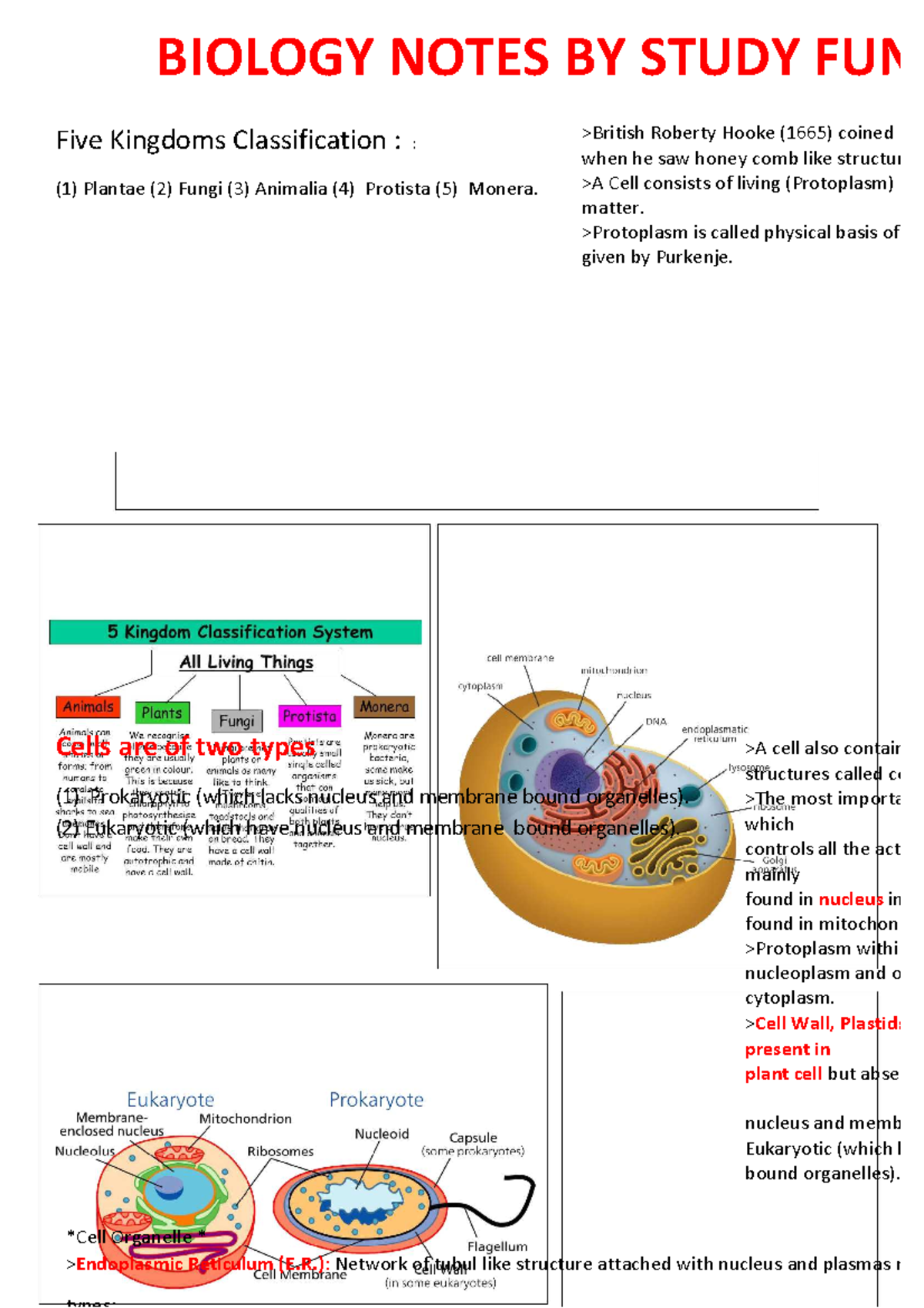 What Is Cd In Biology? _ Physiology, Osmosis – BVBZ