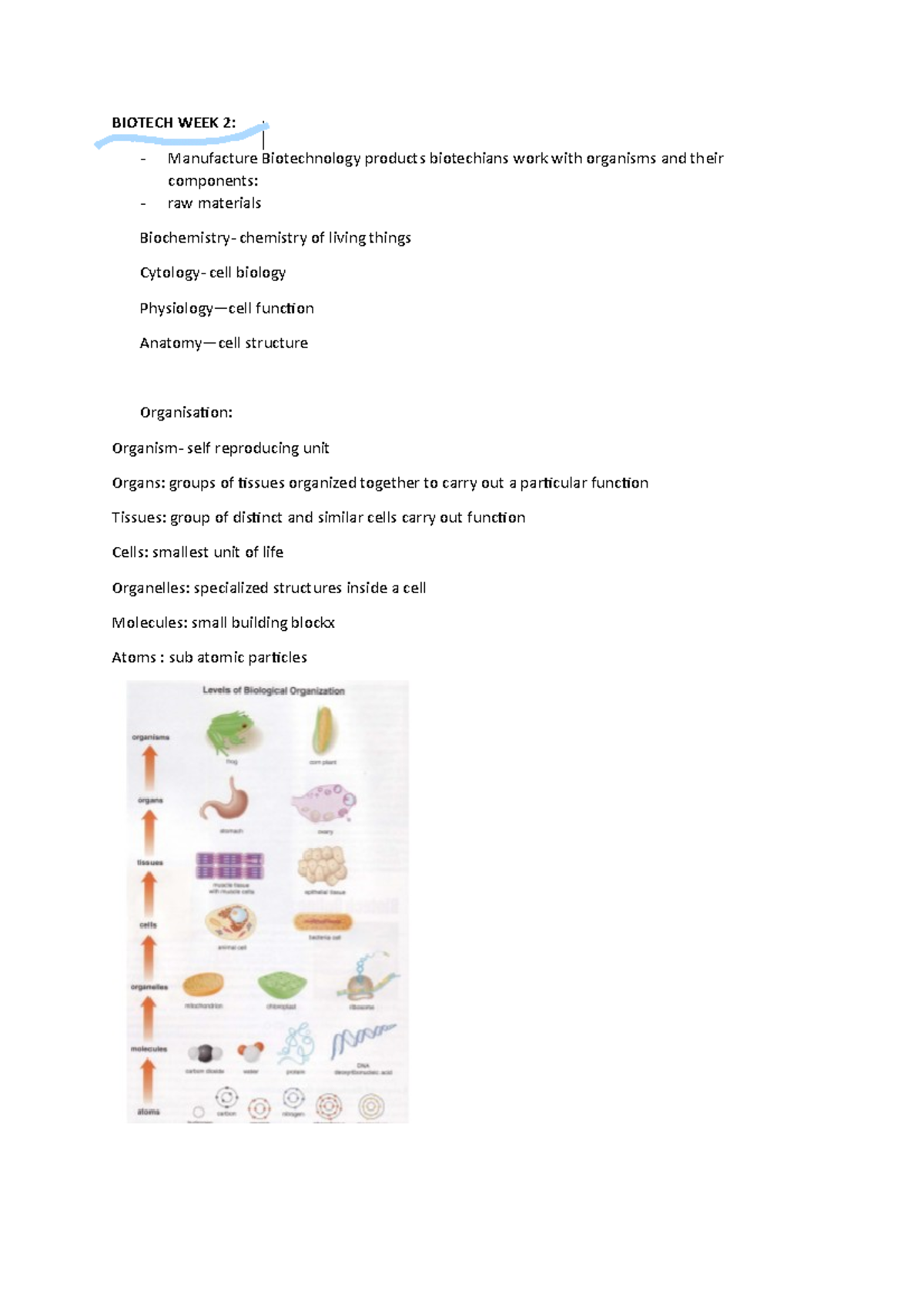 BIOTECH 2 NOTES - BIOTECH WEEK 2: Manufacture Biotechnology Products ...