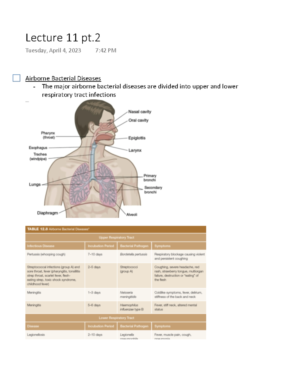 Lecture 11 pt 2 Airborne Bacterial Diseases The major airborne