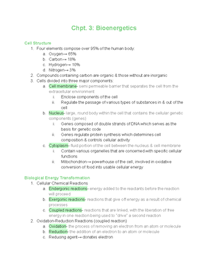 Chpt 4 - notes - Chpt. 4: Exercise Metabolism Energy Requirements at ...