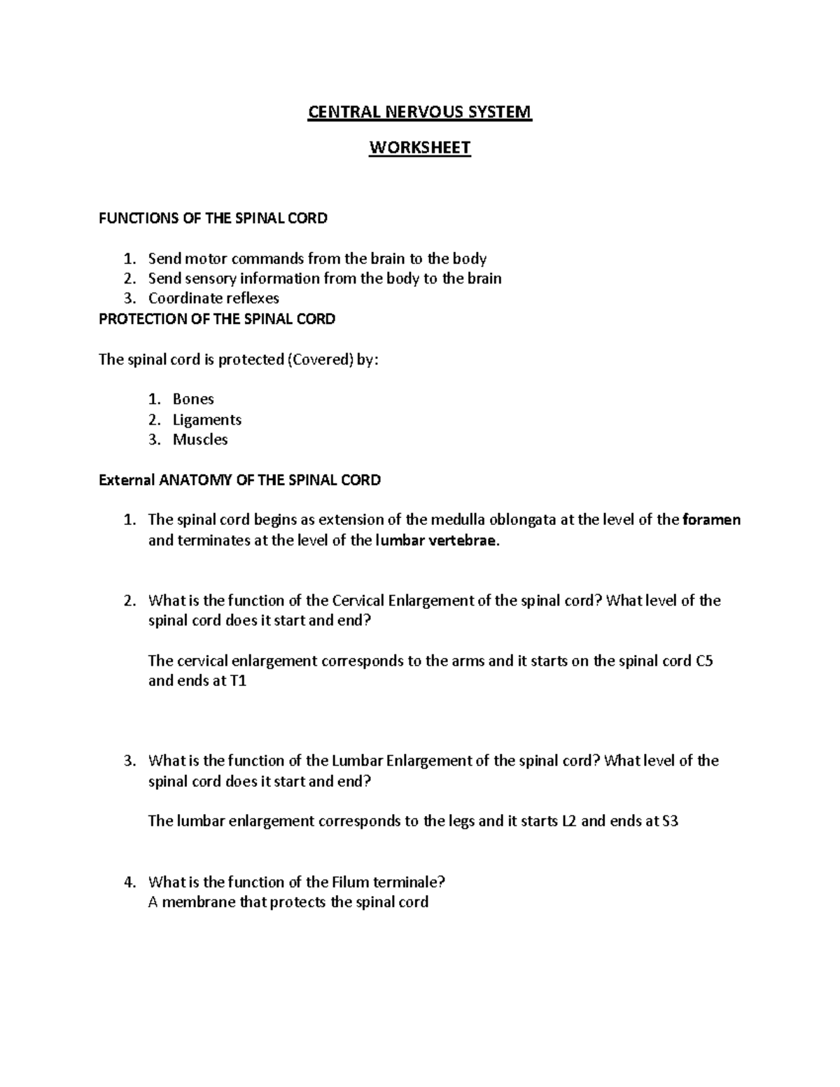 central-nervous-system-worksheet-central-nervous-system-worksheet