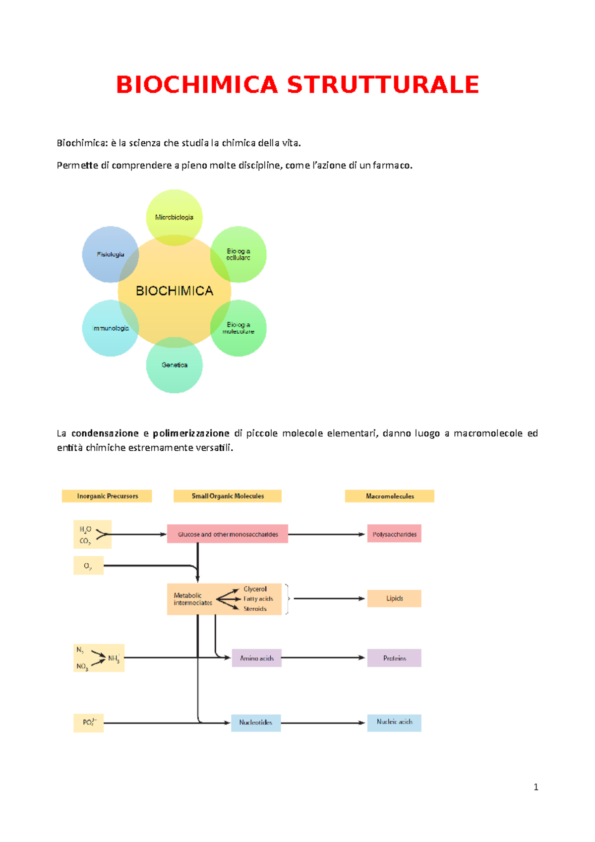 Biochimica Strutturale - Ferraris - BIOCHIMICA STRUTTURALE Biochimica ...