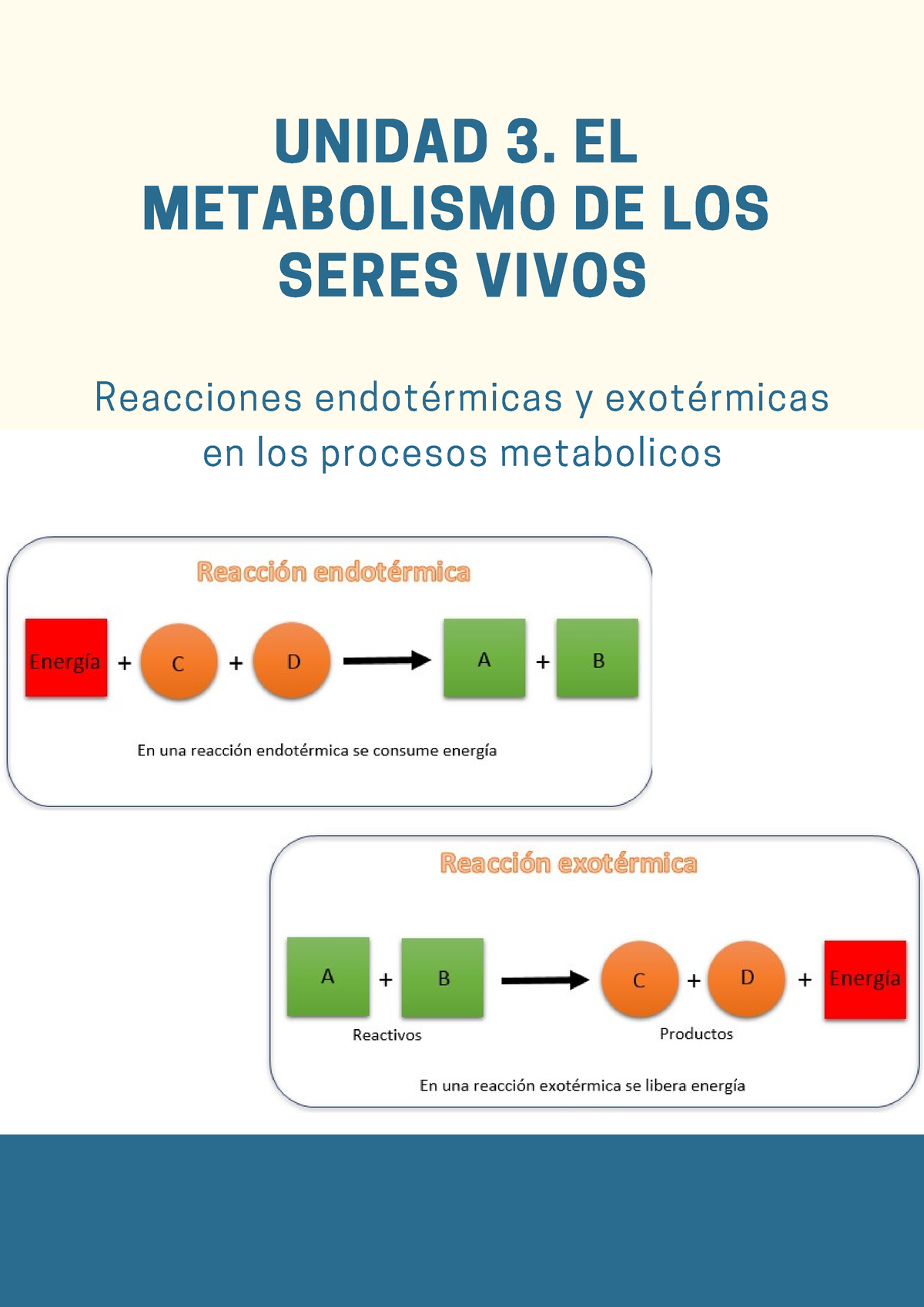 reacciones endotérmicas y exotérmicas