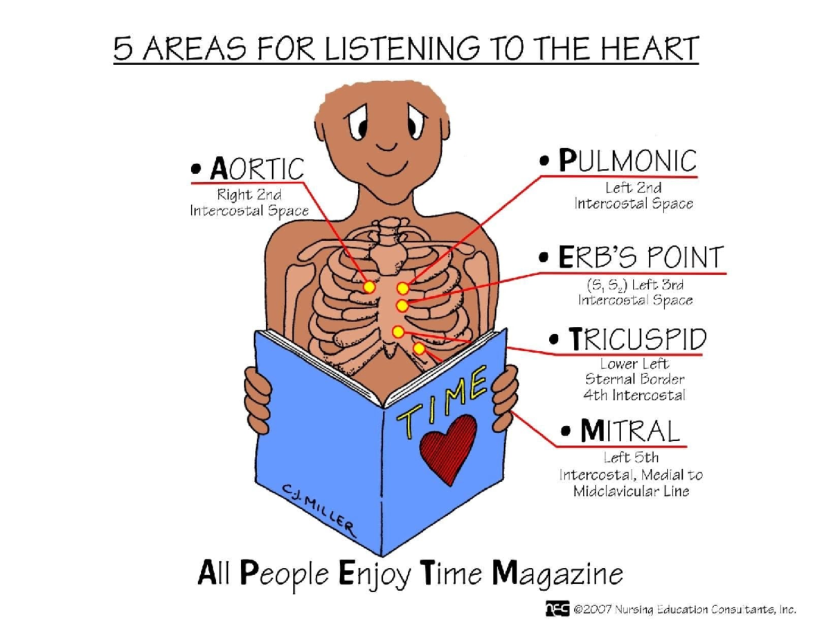 5 areas listening to the heart - 5 AREAS FOR LISTENING TO THE HEART ...