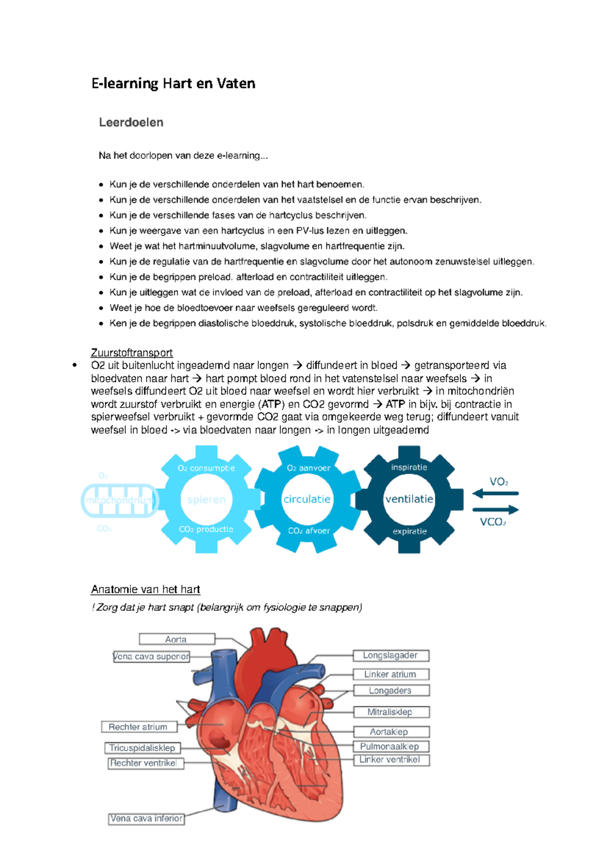 E-learning Hart en Vaten - E-learning Hart en Vaten Zuurstoftransport ...