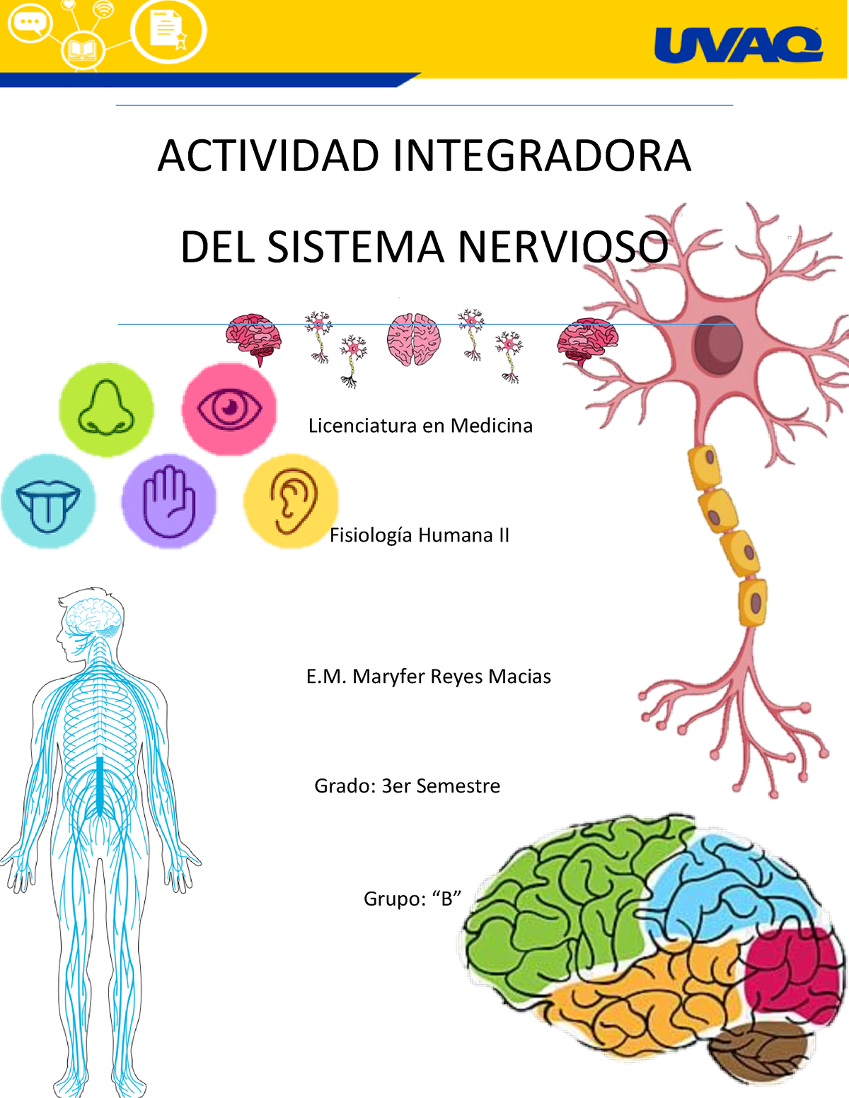 Tarea Actividad Integradora De Sistema Nervioso